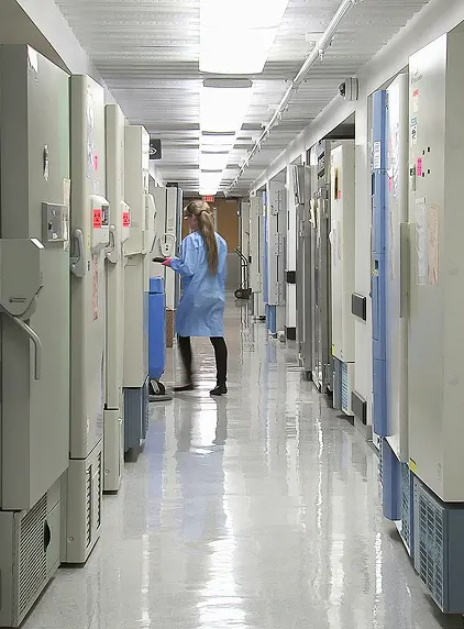 Medical navigation system